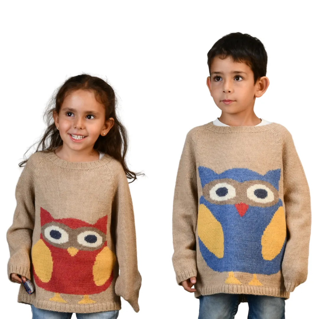 NW601 PEONY OWL SWEATER